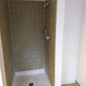 Troy Bathroom Shower - Before